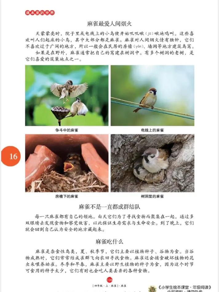 麻雀全文在线阅读 - 经典革命小说免费阅读