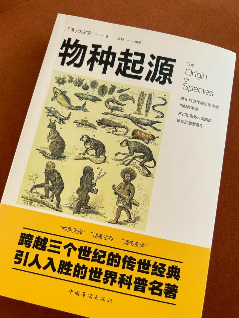 极品家丁全文在线阅读_最新章节免费阅读