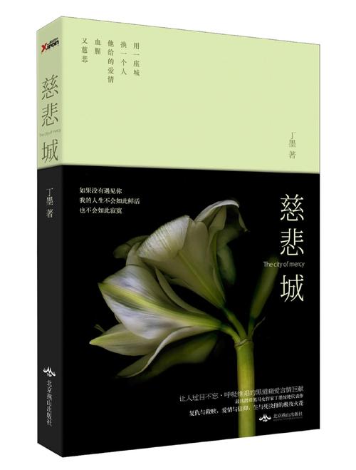二号首长最新章节在线阅读 - 官场小说全文免费阅读