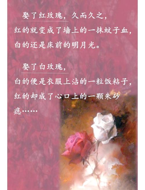 我的前半生2小说全文免费在线阅读_完整版大结局
