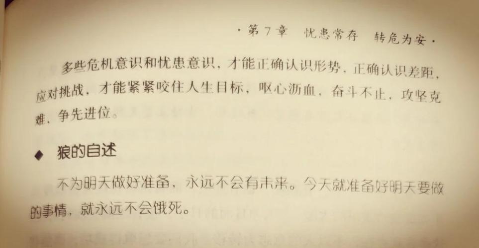 狼道在线阅读:揭秘狼性法则与生存智慧,强者必读