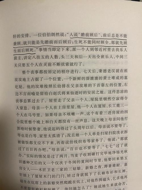 苏东坡传在线阅读 | 品一代文豪跌宕人生与旷达情怀