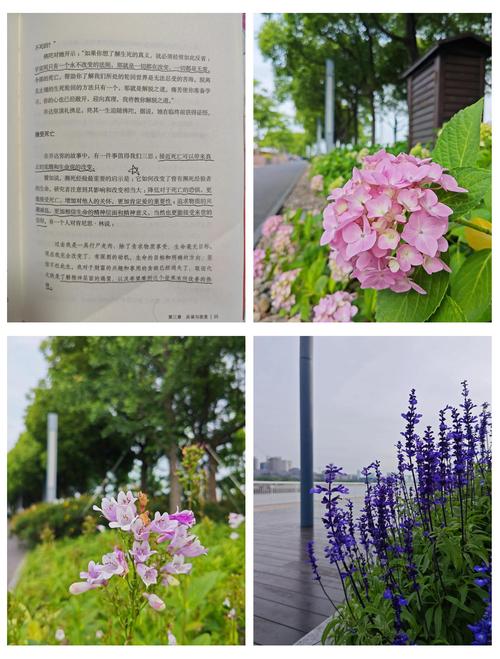 《流浪地球》在线阅读 | 刘慈欣科幻巨著全文