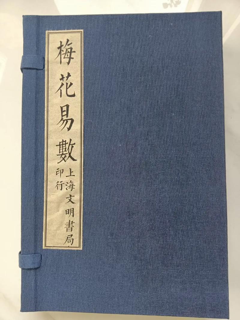 梅花易数在线阅读 - 自学起卦解卦不求人