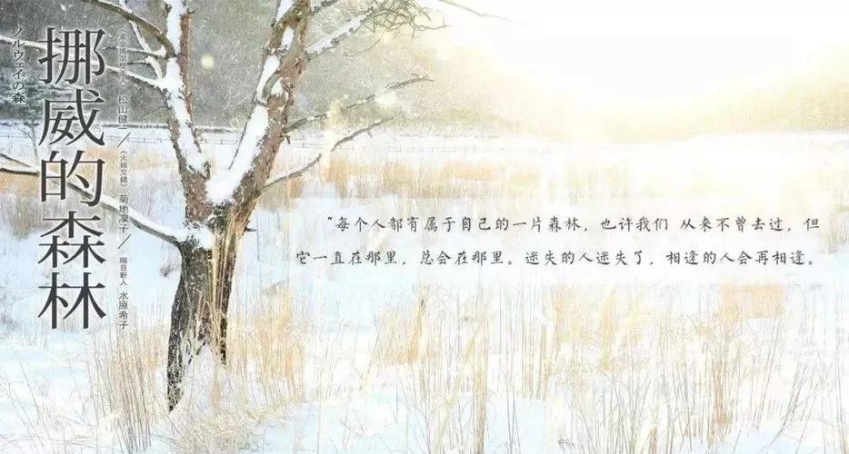 游戏在线阅读 - 免费在线畅玩海量游戏