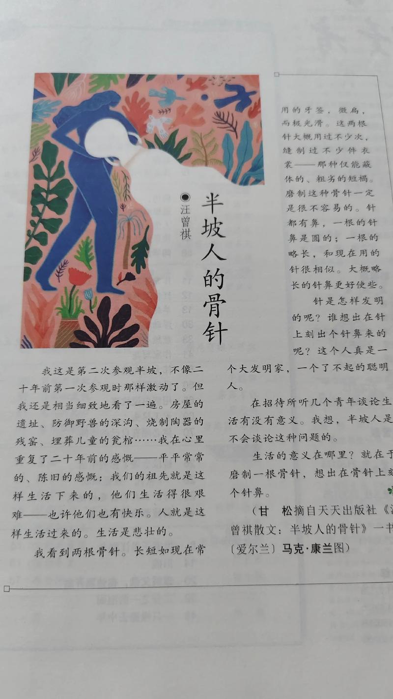 被几十个人轮了小说全集在线免费阅读