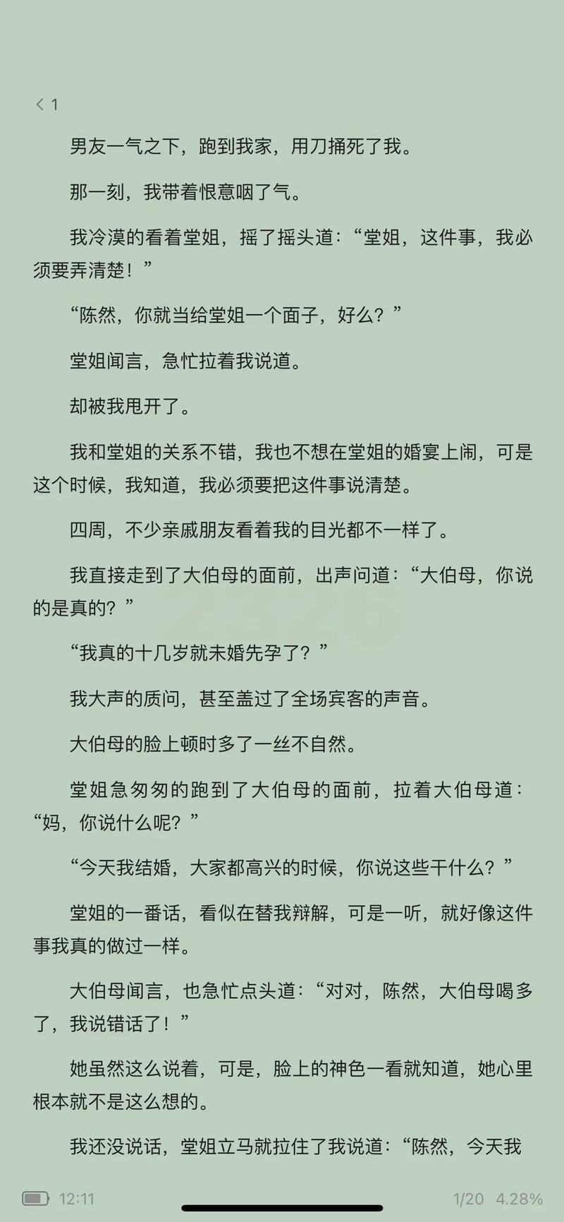 阿宾1-72章全文阅读 | 完整版在线免费看
