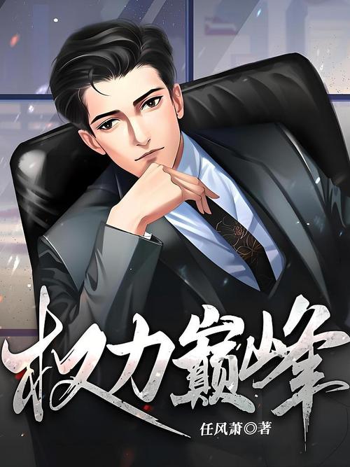 权力巅峰在线全文阅读|官场权谋巅峰之作