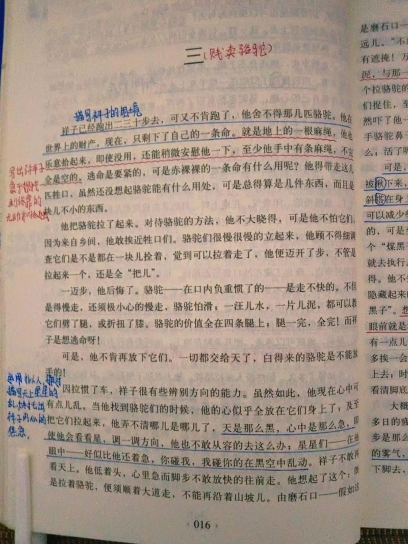 骆驼祥子原著在线阅读 | 老舍经典小说完整版