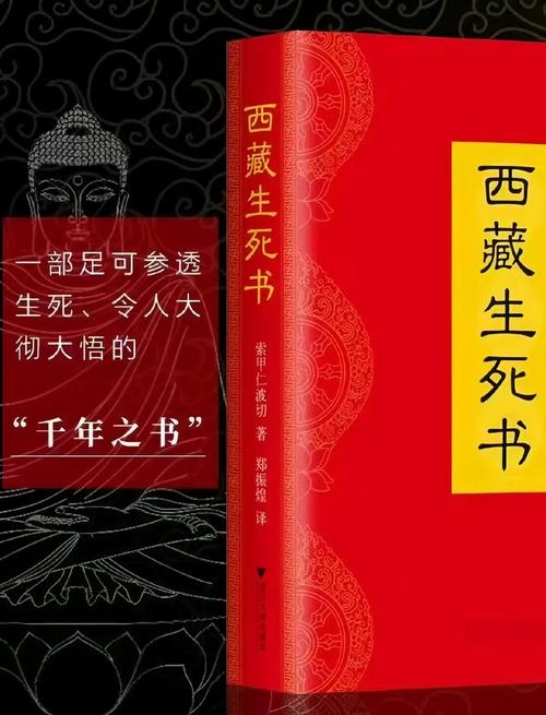 韩警官全文在线阅读_韩警官小说免费阅读