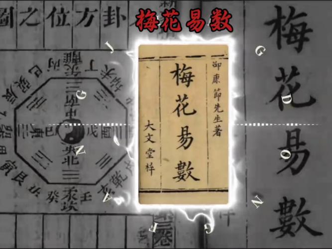 池莉小说全集在线阅读｜经典作品免费阅读