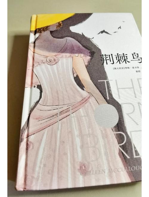 猛男诞生记在线阅读 - 热血逆袭，从平凡到巅峰的成长史