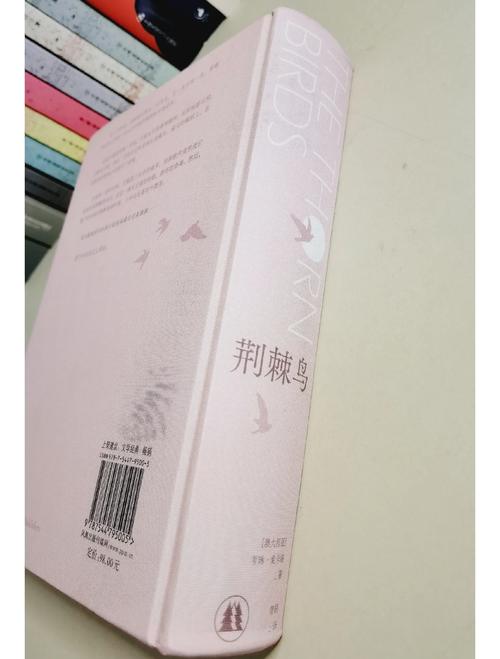 努努书坊_无广告免费小说在线阅读平台