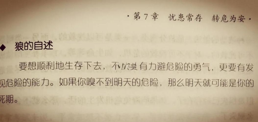 狼道在线阅读:揭秘狼性法则与生存智慧,强者必读