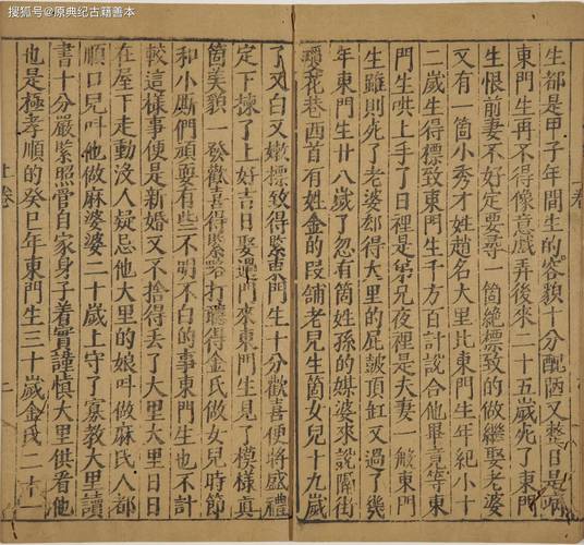 完美人生沈浪小说全文免费阅读_完整版在线阅读