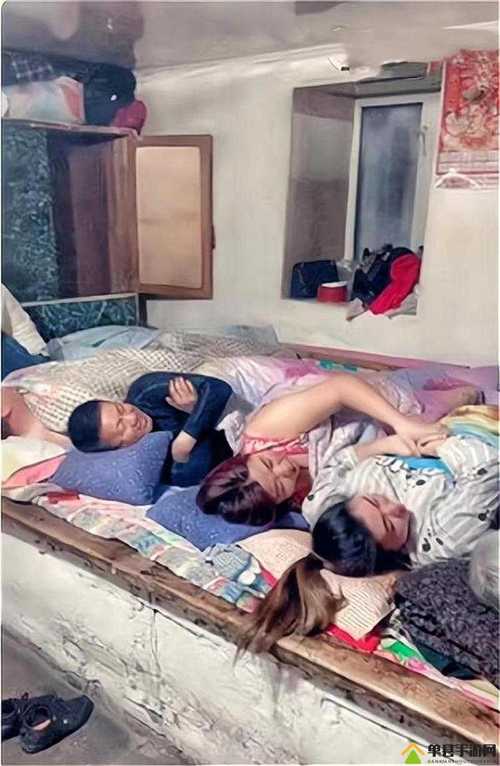东北大炕全文在线阅读 | 经典乡土文学小说免费阅读