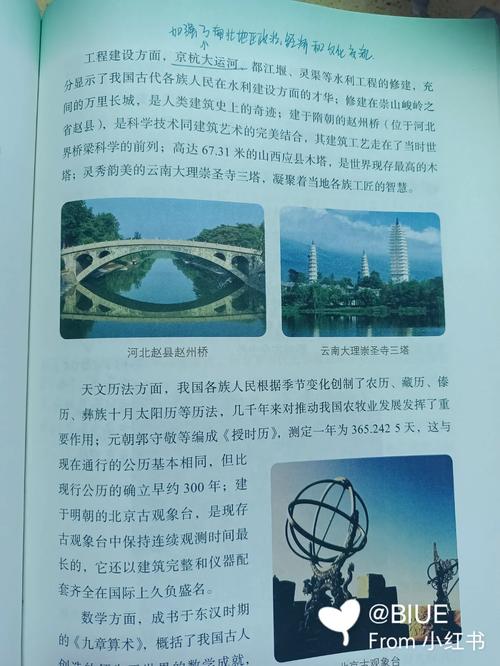 大团结在线阅读 - 完整版免费章节