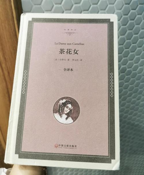1231小说在线阅读 - 热门章节推荐与全文阅读