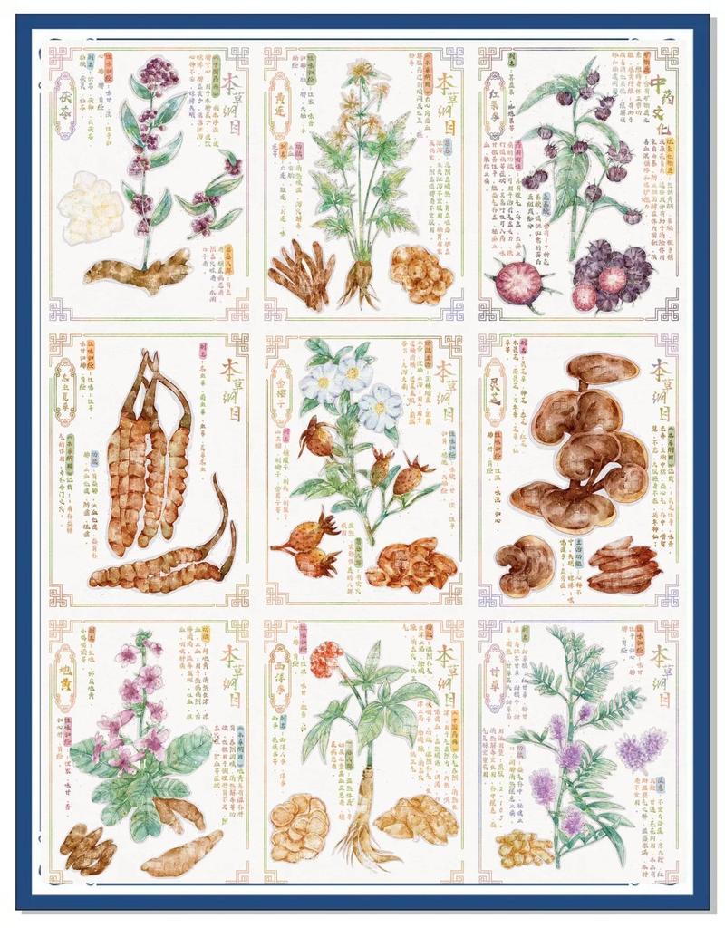 《本草纲目》在线阅读|中医药经典古籍全文检索