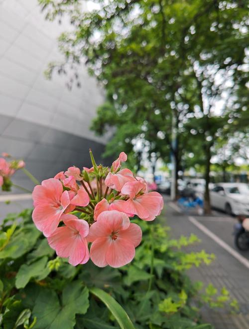 国富论在线阅读 - 经典经济巨著《国富论》全文免费阅读