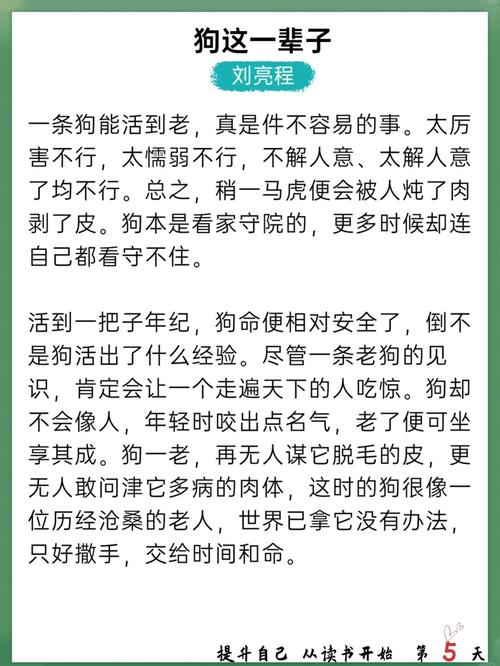 致命温柔全文在线阅读 | 小说免费阅读