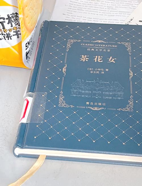 再青春全集免费在线观看 - 再青春小说最新章节完整版