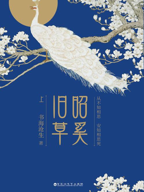 风月大陆全文在线阅读 | 热门小说章节更新中