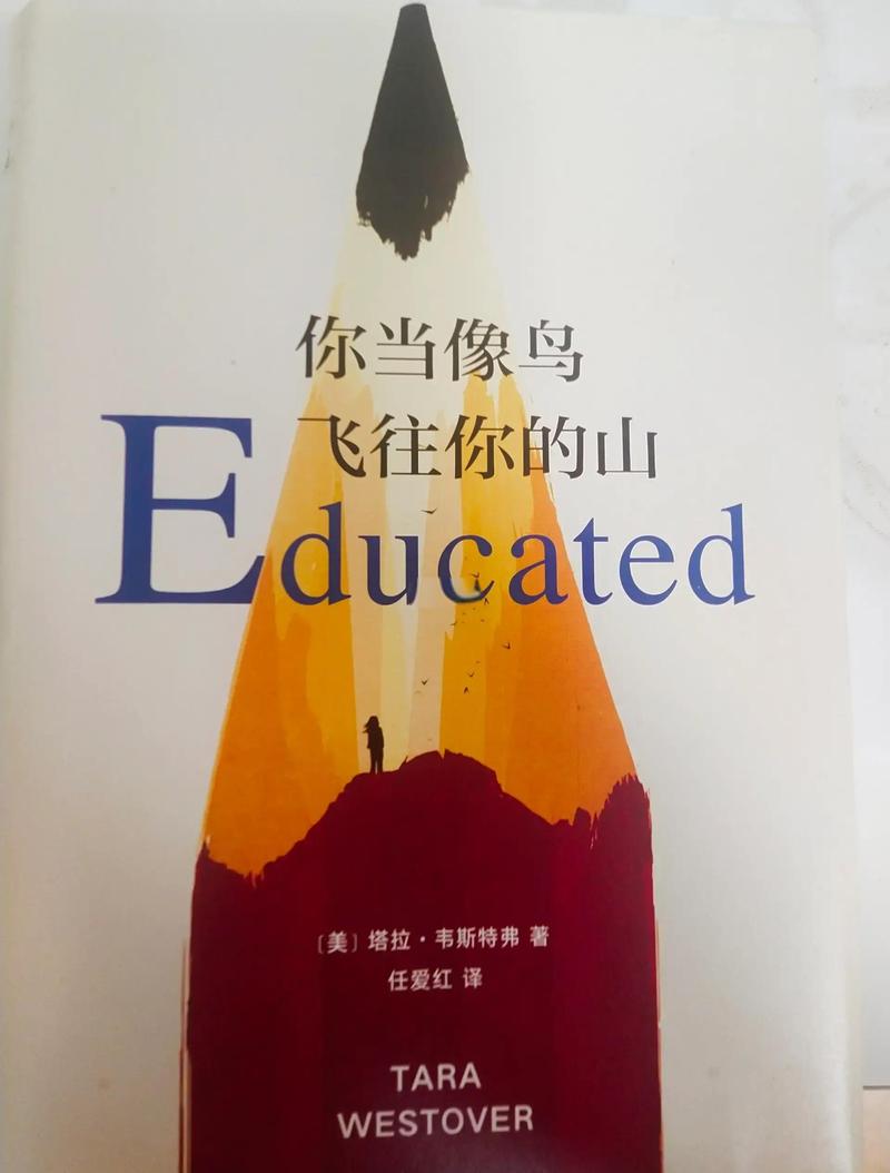 你当像鸟飞往你的山在线阅读：逃离原生家庭，寻找自我救赎