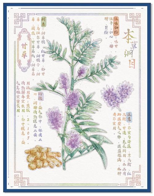 《本草纲目》在线阅读|中医药经典古籍全文检索