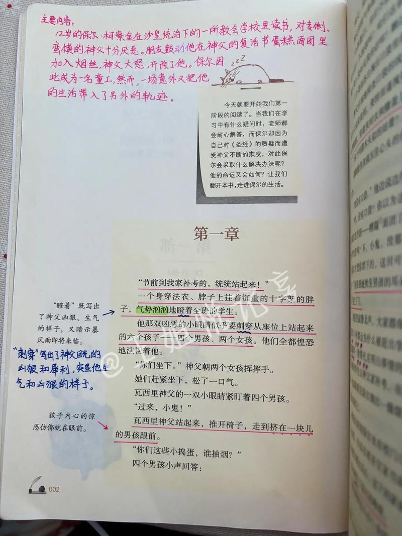 黑道邪皇全文阅读，巅峰强者逆天归来热血争霸