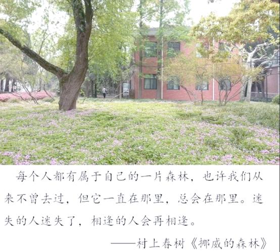 盛世嫡妃全文在线阅读_凤轻经典古言小说免费阅读