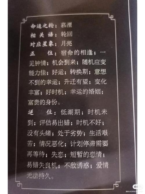 亦舒经典《喜宝》全文在线阅读：爱与金钱的残酷抉择